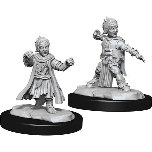 Male Halfling Monk